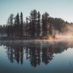 Reap a Second Harvest: Unlocking Growth Through Reflection