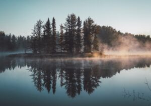 Reap a Second Harvest: Unlocking Growth Through Reflection
