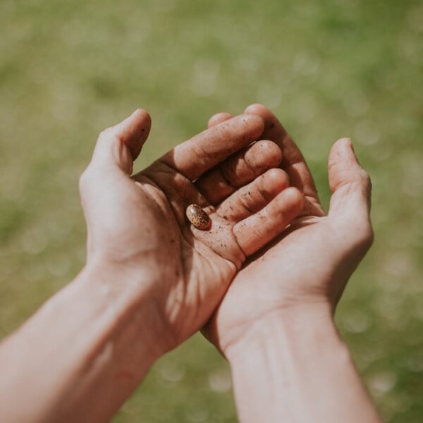 Unlocking Your Potential: The Power of Curiosity-Driven Growth