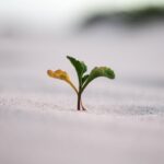 Micro-Improvements, Macro-Results: The Power of Compounding Growth