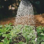 Grow Yourself: A Gardener’s Guide to Personal Development