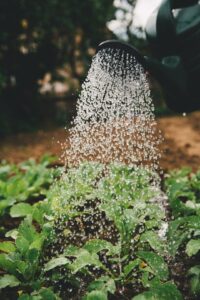 Grow Yourself: A Gardener’s Guide to Personal Development