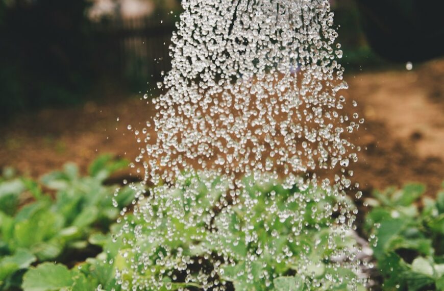 Grow Yourself: A Gardener’s Guide to Personal Development