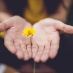 The Generous Path to Growth: Unexpected Rewards of Giving Back
