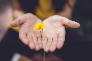 The Generous Path to Growth: Unexpected Rewards of…