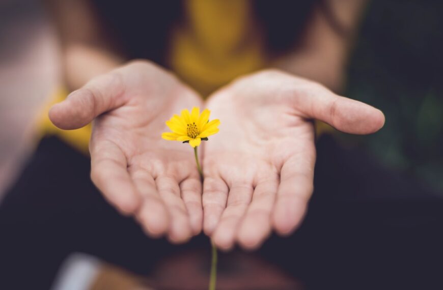 The Generous Path to Growth: Unexpected Rewards of Giving Back