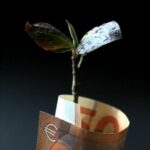 Calculated Risks, Exponential Rewards: A Framework for Strategic Growth