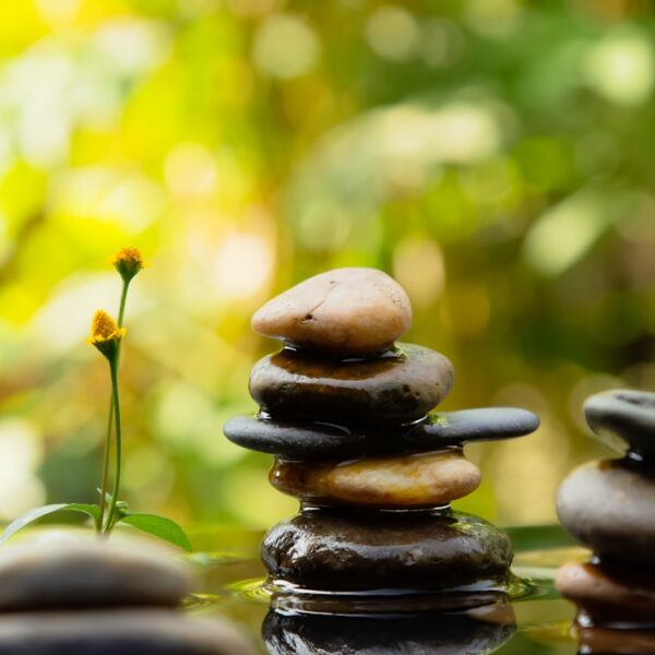 Beyond Growth Mindset: Finding Sustainable Progress