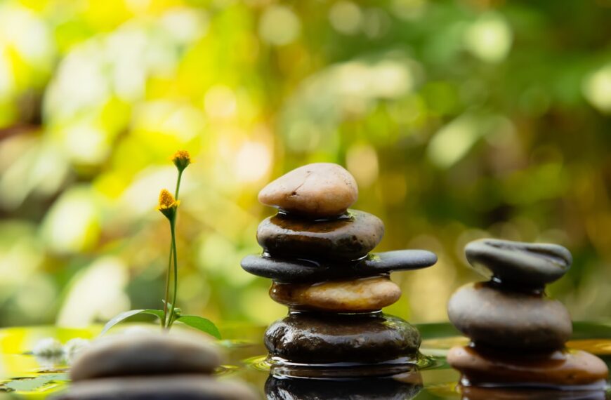 Beyond Growth Mindset: Finding Sustainable Progress