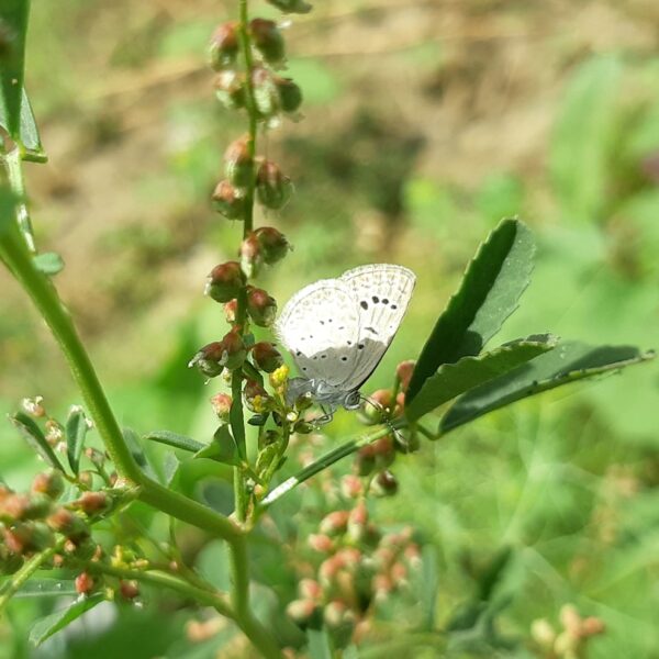 Small Habits, Big Life: The Unexpected Power of…